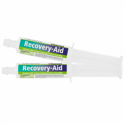 Ranvet Recovery Paste 80ml