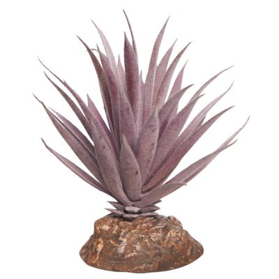 Reptile One Plant Mini Ionantha Red With Ceramic Base - Woonona Petfoods