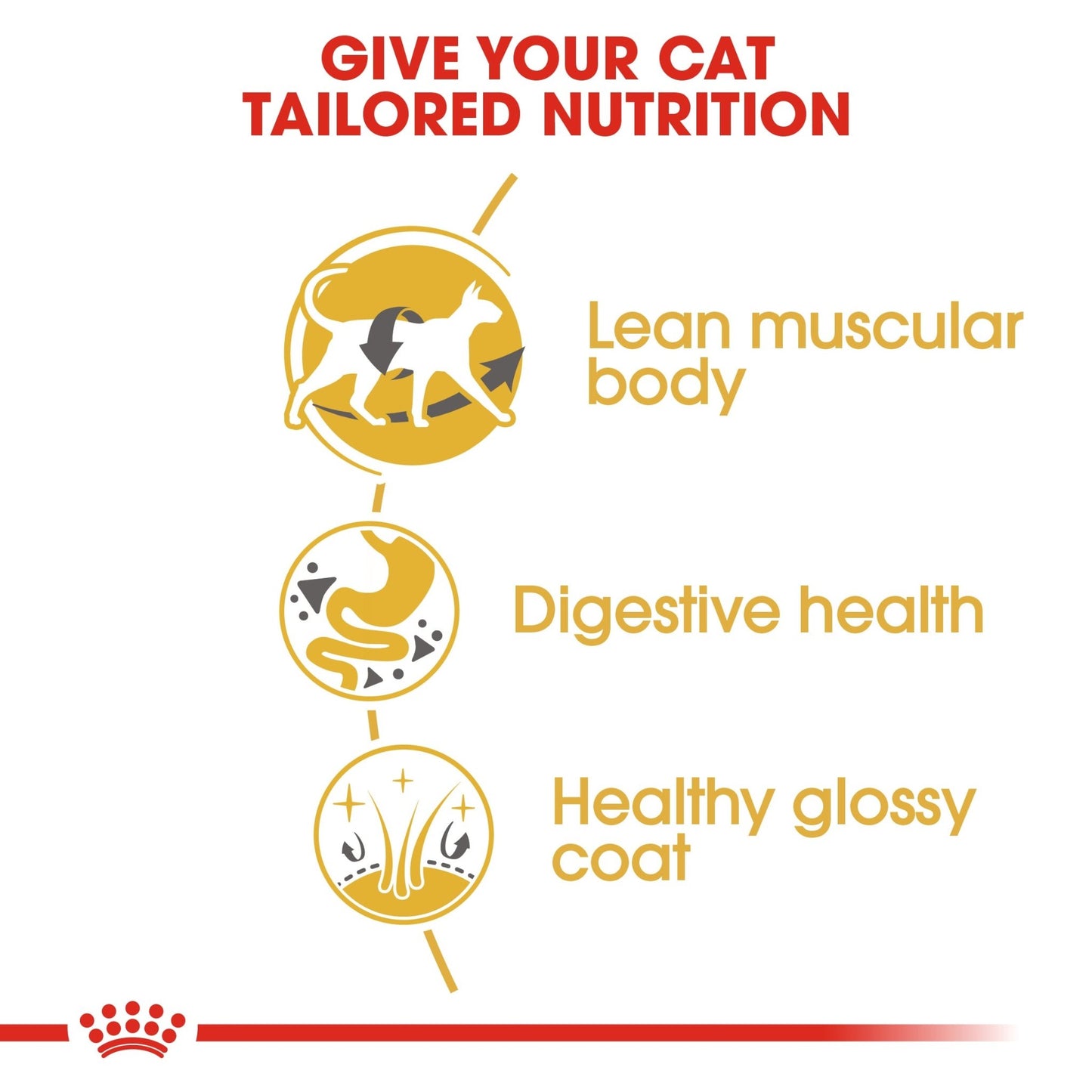 Royal Canin Dry Cat Food Siamese Adult - Woonona Petfoods