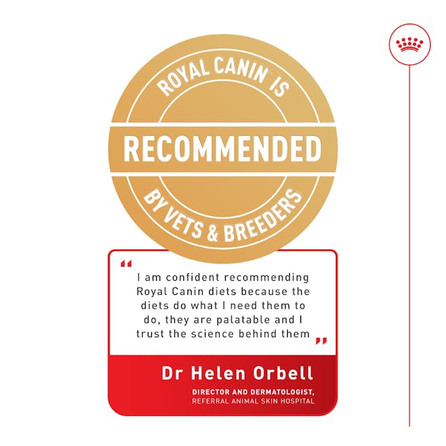 Royal Canin Dry Dog Food Boxer Adult 12kg - Woonona Petfood & Produce