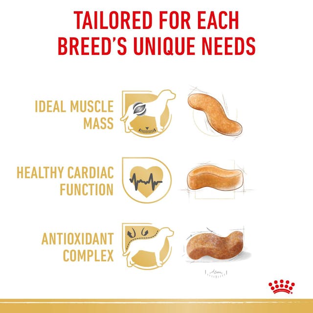 Royal Canin Dry Dog Food Boxer Adult 12kg - Woonona Petfood & Produce