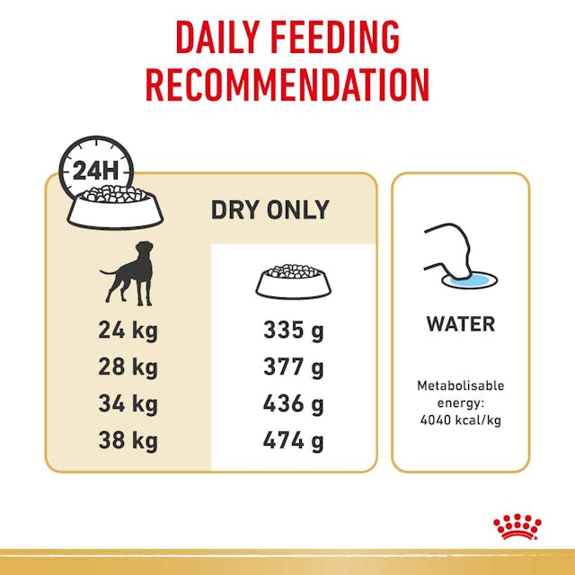 Royal Canin Dry Dog Food Boxer Adult 12kg - Woonona Petfood & Produce