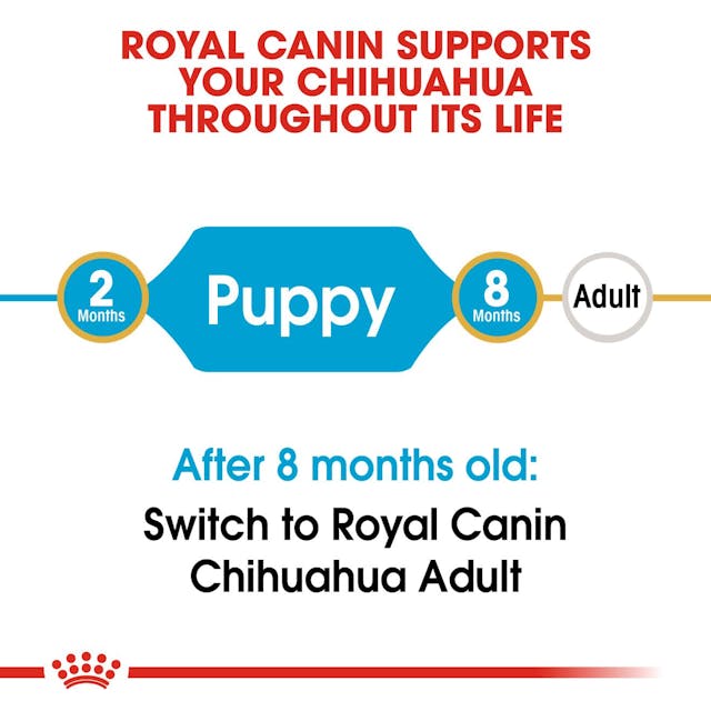 Royal Canin Dry Dog Food Chihuahua Puppy - Woonona Petfood & Produce