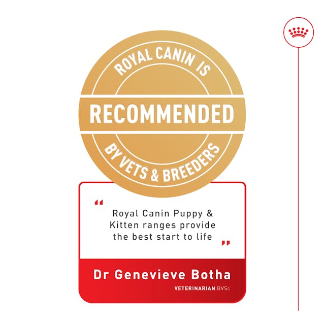 Royal Canin Dry Dog Food Chihuahua Puppy - Woonona Petfood & Produce
