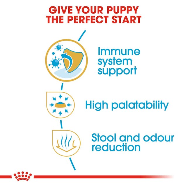 Royal Canin Dry Dog Food Chihuahua Puppy - Woonona Petfood & Produce