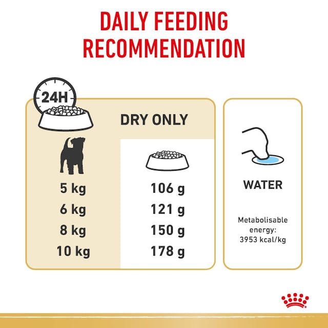 Royal Canin Dry Dog Food Jack Russell Adult - Woonona Petfood & Produce