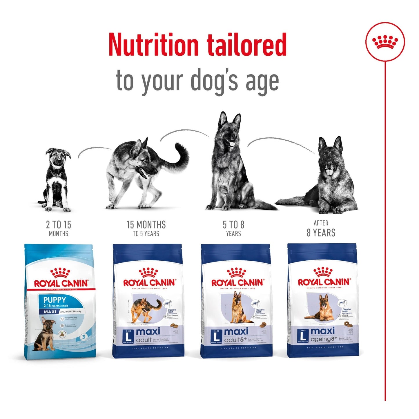 Royal Canin Dry Dog Food Maxi Large Breed Adult 5+ 15kg - Woonona Petfoods