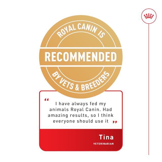 Royal Canin Dry Dog Food Medium Breed Digestive Care - Woonona Petfood & Produce