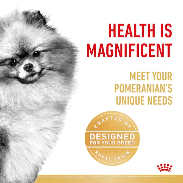 Royal Canin Dry Dog Food Pomeranian Adult 1.5kg - Woonona Petfood & Produce