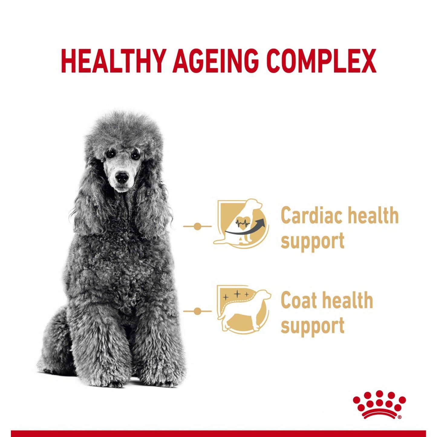 Royal Canin Dry Dog Food Poodle Adult 8+ 1.5kg - Woonona Petfoods