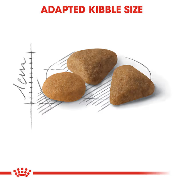 Royal Canin Dry Cat Food Exigent Savour
