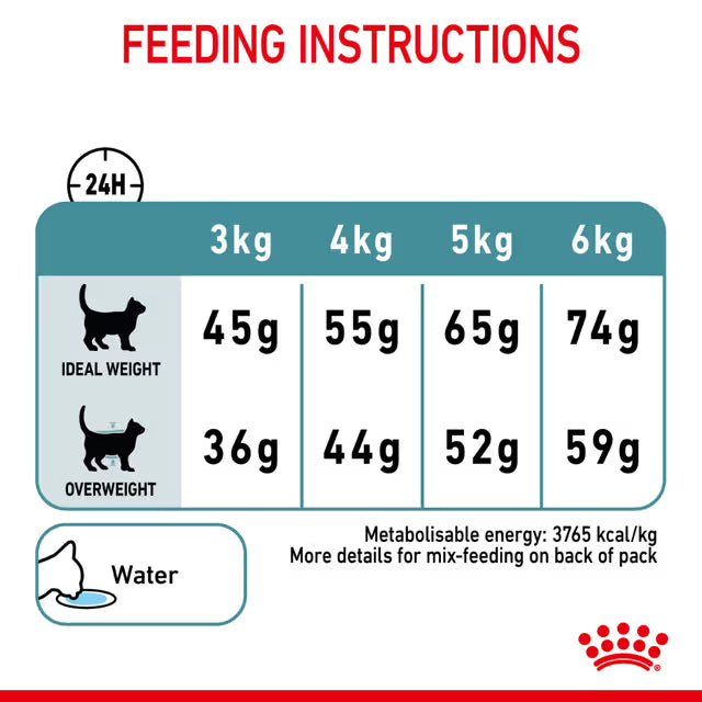 Royal Canin Dry Cat Food Hairball Care
