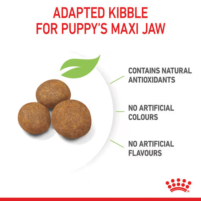 Royal Canin Dry Dog Food Maxi Large Breed Puppy