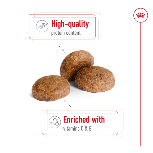 Royal Canin Dry Dog Food Medium Breed Ageing 7+ 15kg