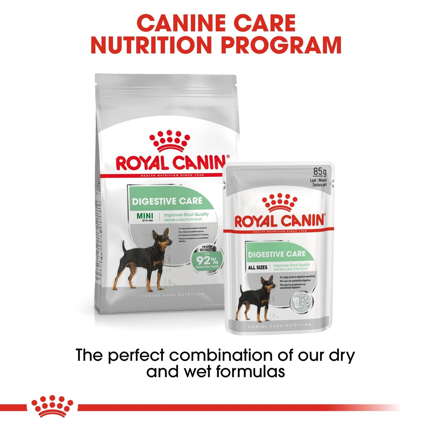 Royal Canin Wet Dog Food Digestive Care Loaf 12x85g - Woonona Petfoods