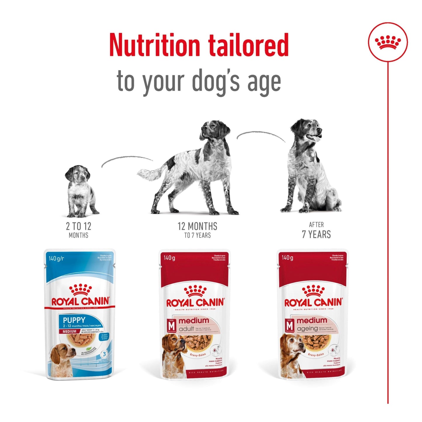 Royal Canin Wet Dog Food Medium Adult 10x140g - Woonona Petfoods
