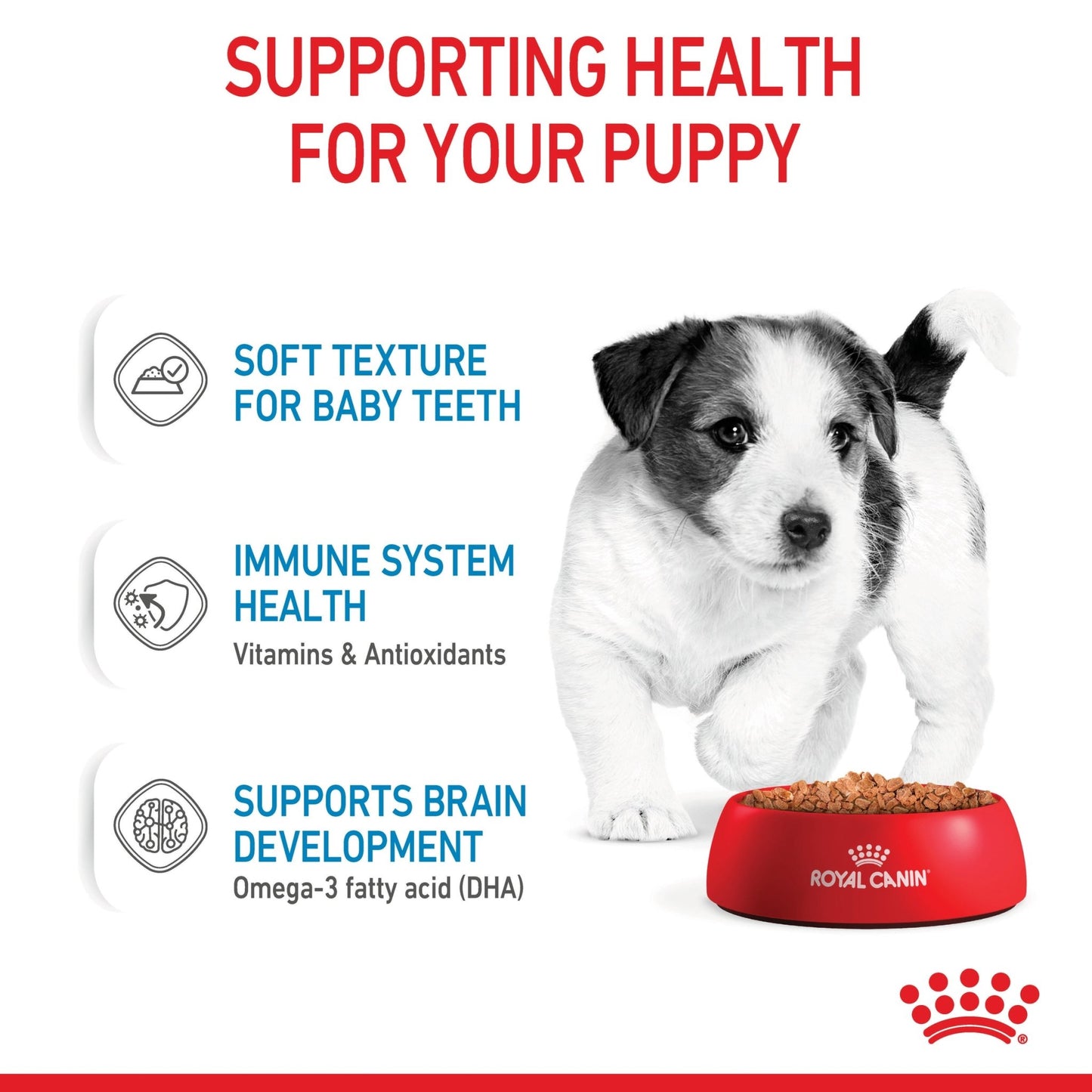 Royal Canin Wet Dog Food Mini Puppy 85g - Woonona Petfoods