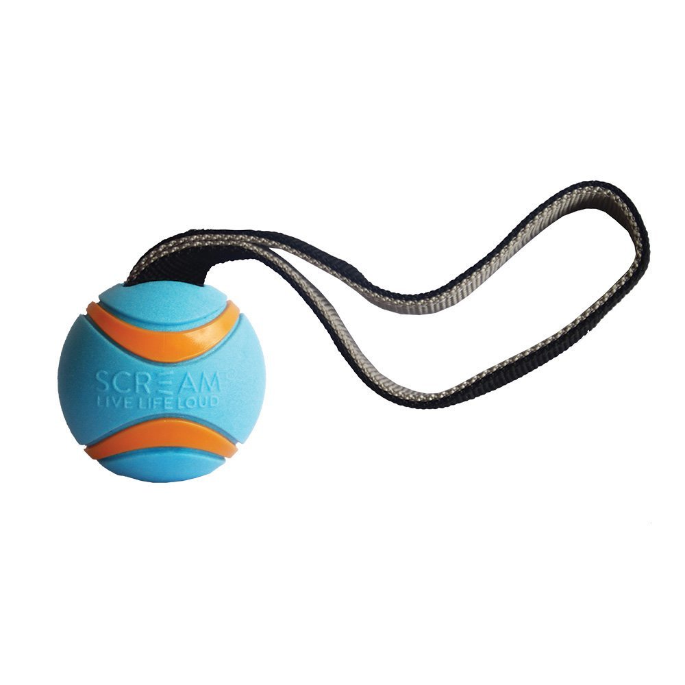 Scream ELITE BALL TUG Loud Blue & Orange - Large 24cm - Woonona Petfoods