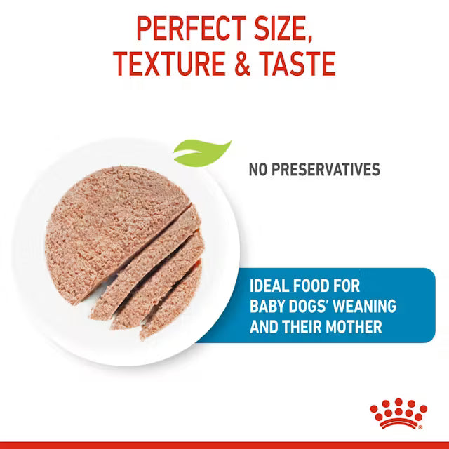 Royal Canin Starter Mother and Babydog Mousse 195g