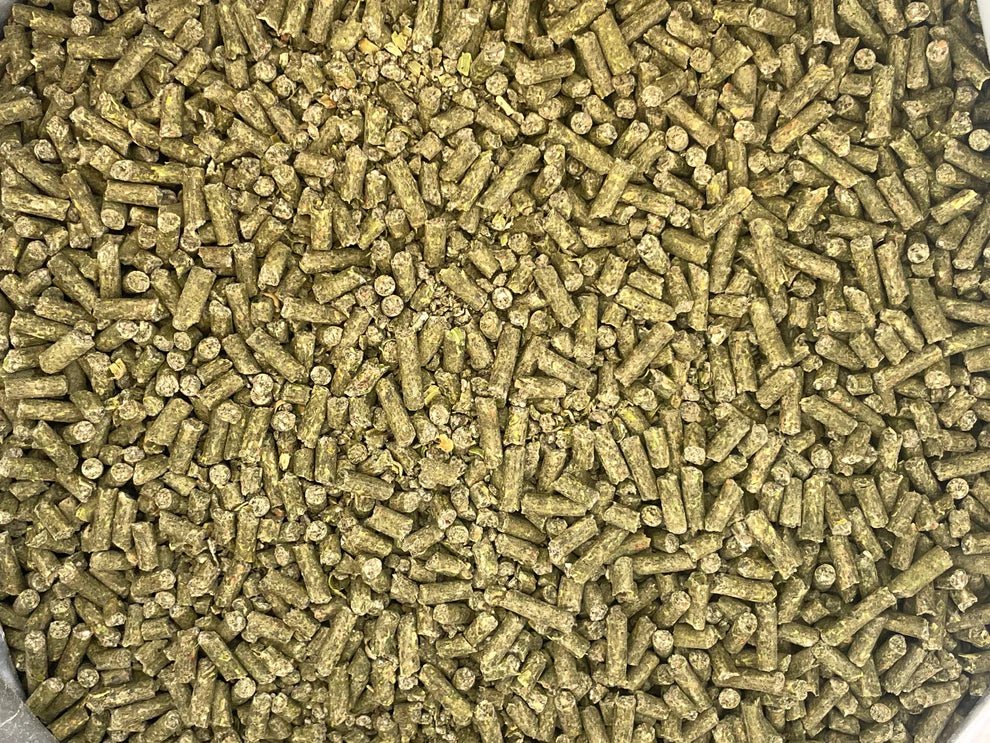 Stable - Ised Equine PractiBalance 25kg - Woonona Petfoods