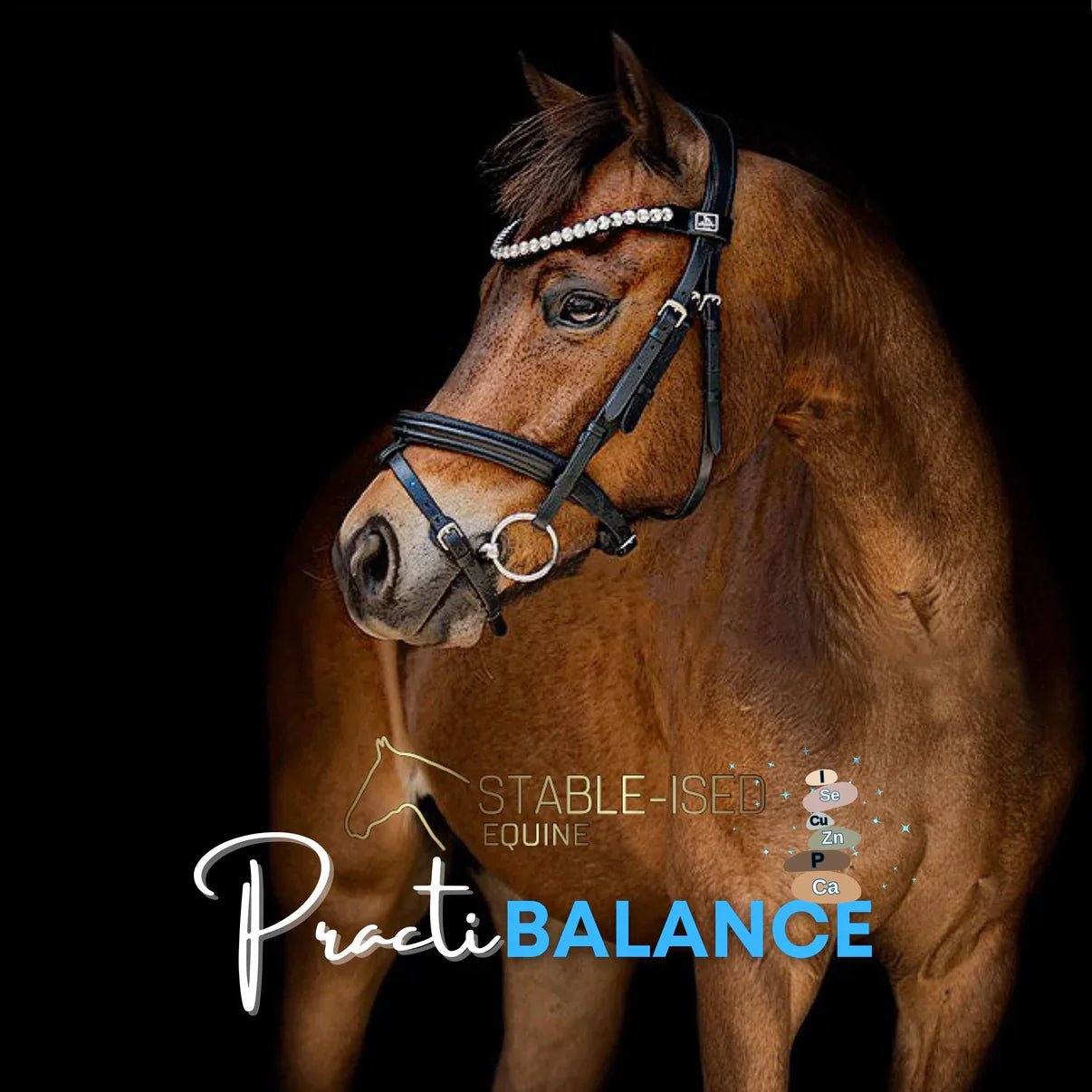Stable - Ised Equine PractiBalance 25kg - Woonona Petfoods