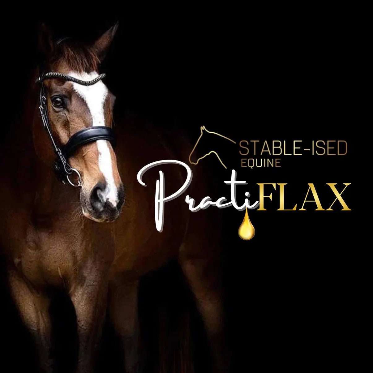 Stable - Ised Equine PractiFlax 4.5 Litres - Woonona Petfoods