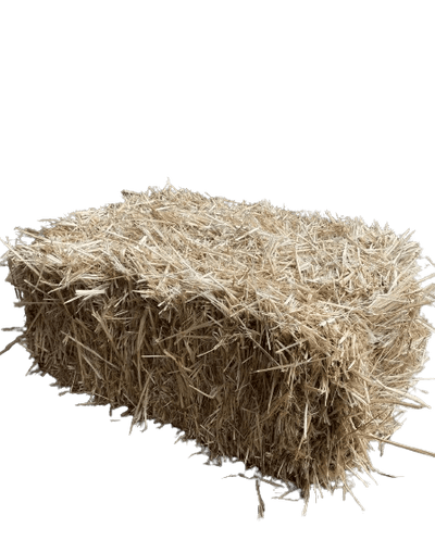 Straw