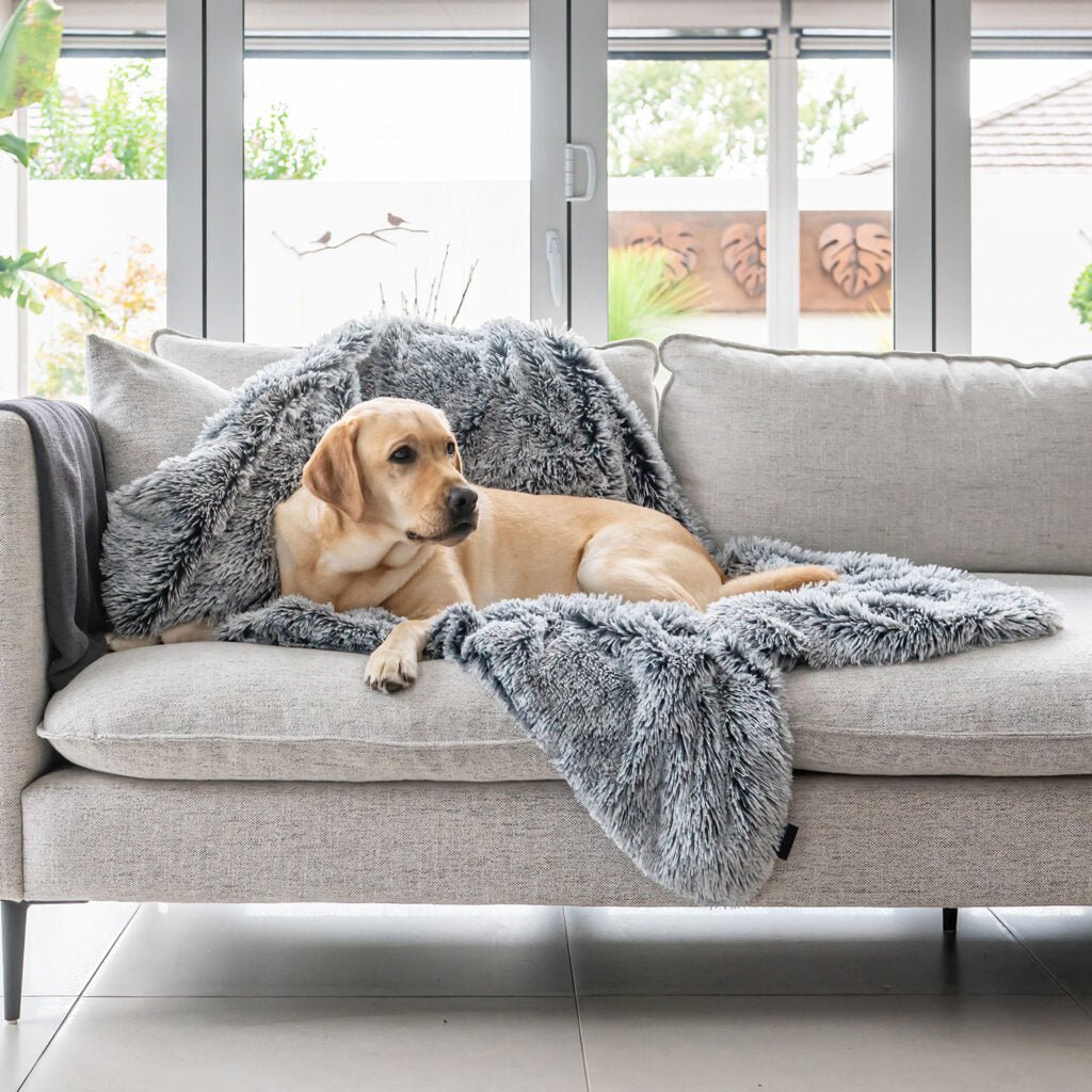 Superior Pet Bed Calming Blanket Dove Grey Water Resistant Large - Woonona Petfoods