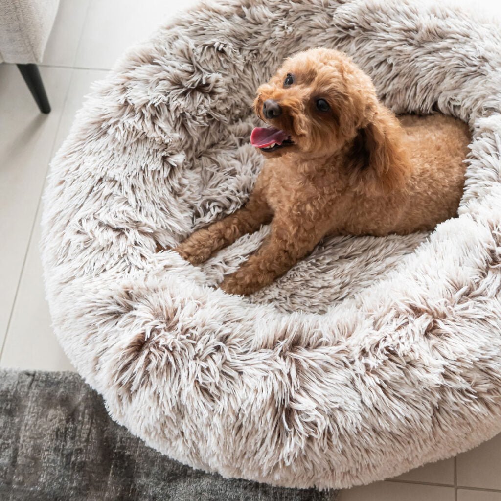 Superior Pet Bed Curl Up Cloud Calming Bed Sable Faux Fur - Woonona Petfoods