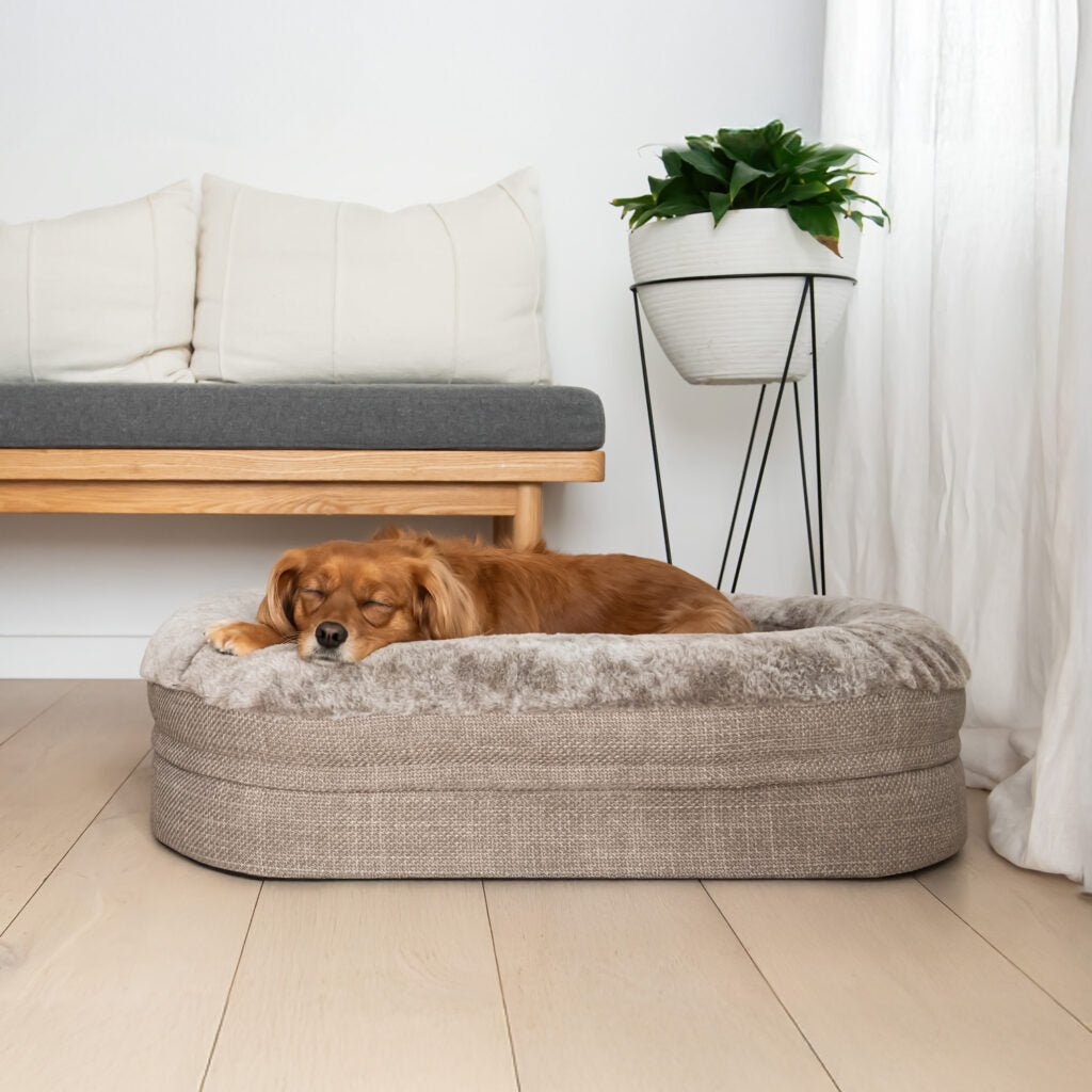 Superior Pet Bed Dog Ortho Memory Rest Puppacino - Woonona Petfoods