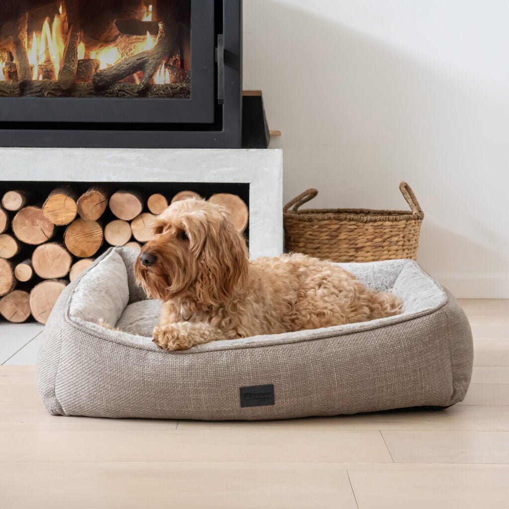 Superior Pet Dog Bed Lounger Puppacino - Woonona Petfoods