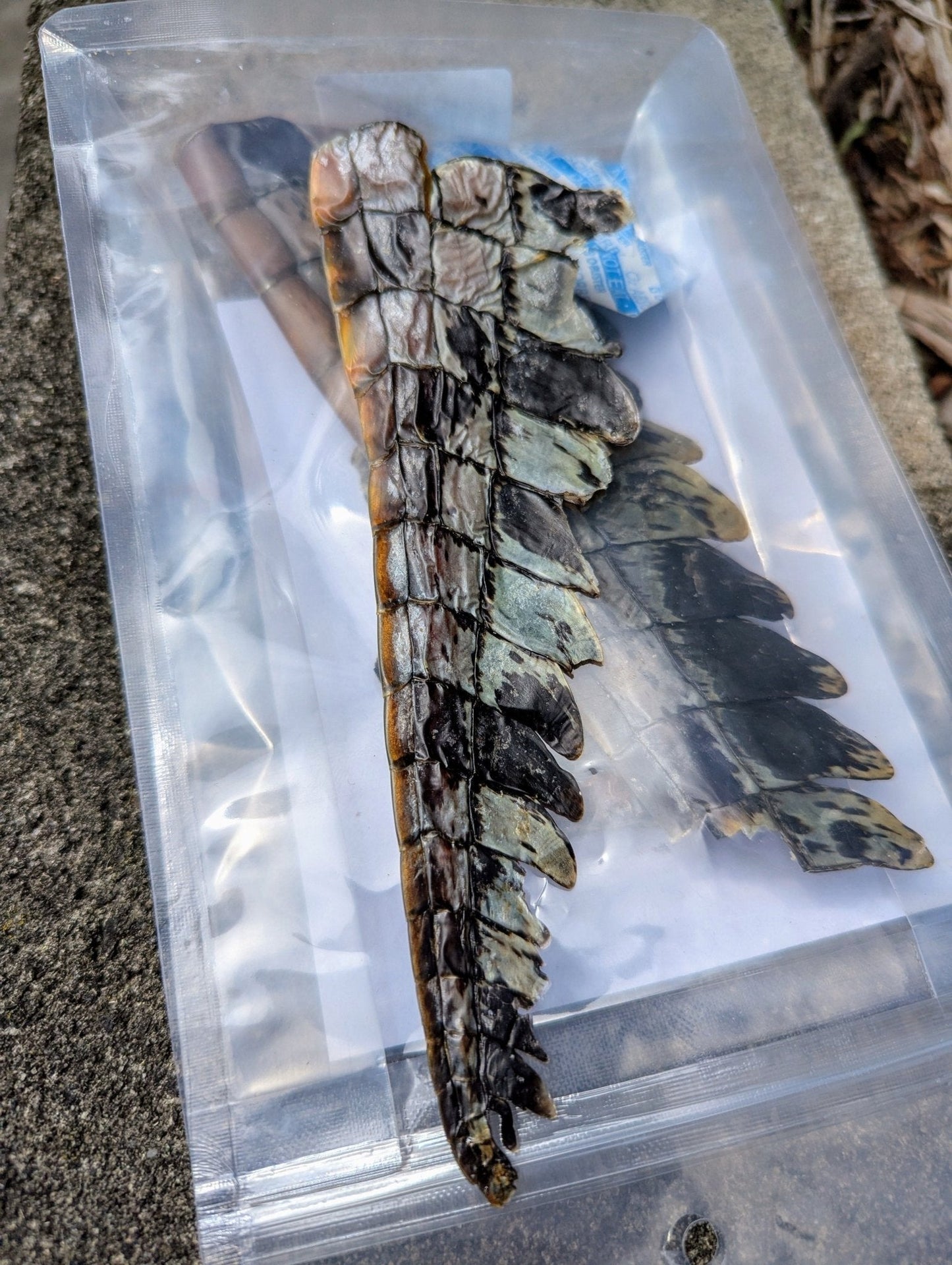 The Pawfect Butcher Crocodile Tail 100g - Woonona Petfoods