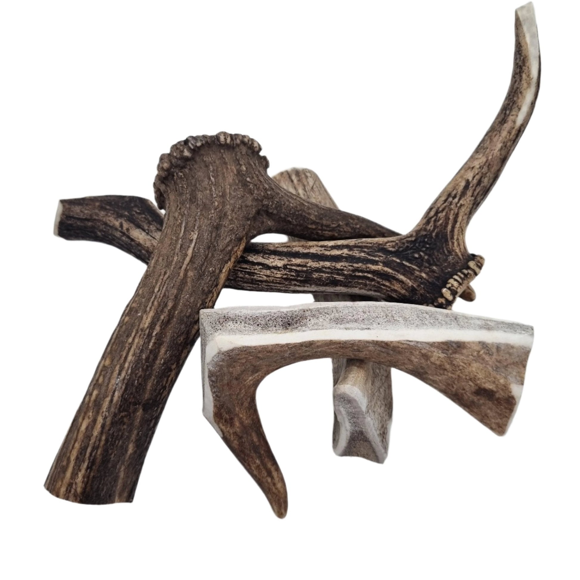 The Pawfect Butcher Whole Deer Antler - Woonona Petfoods