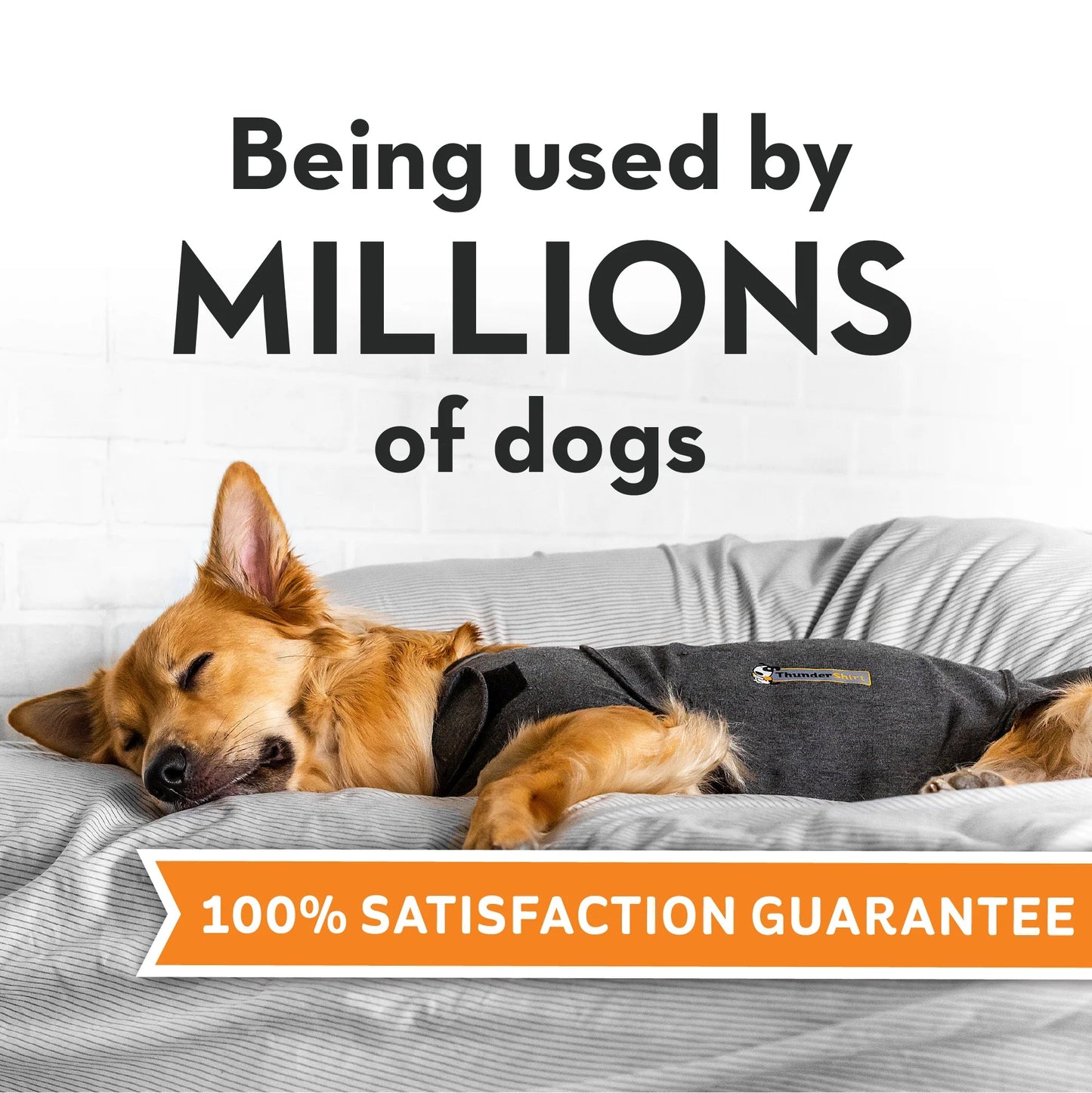 Thundershirt - Woonona Petfoods