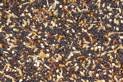 Tonic Mix per