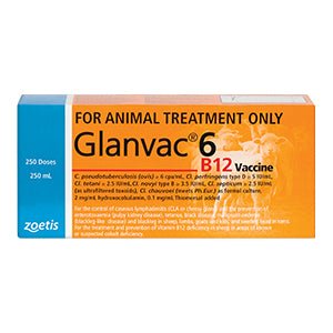 Vaccination 6 Glanvac B12 250ml - Woonona Petfood & Produce