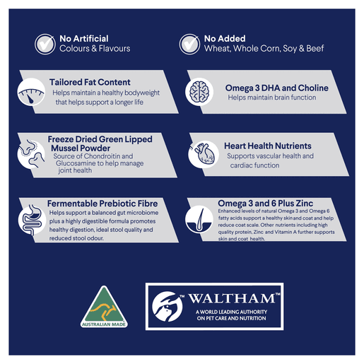 Advance Dry Dog Food Healthy Age Large Breed Chicken 15kg - Woonona Petfood & Produce