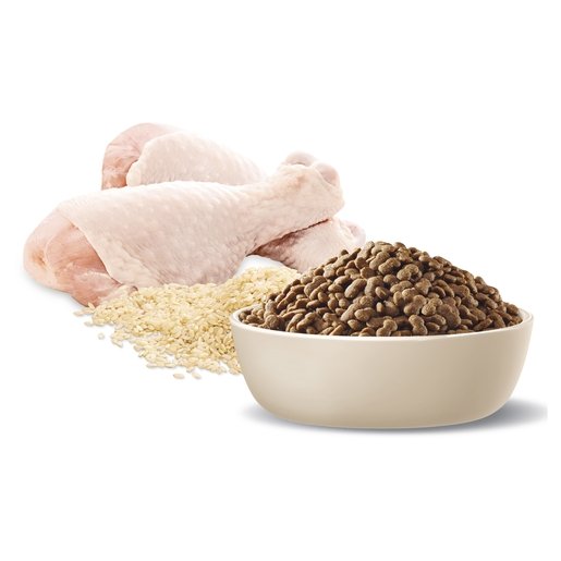 Advance Dry Dog Food Healthy Age Small Breed Chicken 3kg - Woonona Petfood & Produce