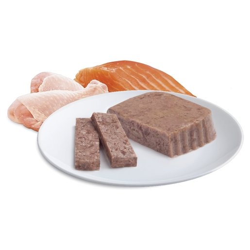 Advance Wet Cat Food Adult Chicken And Salmon 85g - Woonona Petfood & Produce