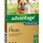 Advantage Dog 25-50kg Blue - Woonona Petfood & Produce