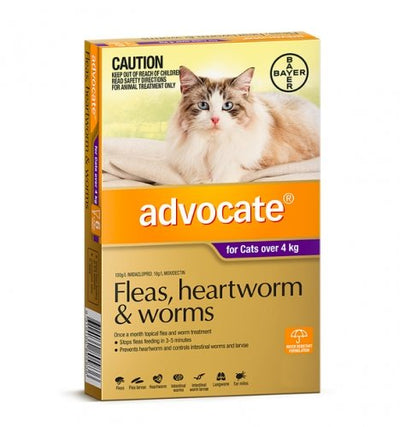 Advocate Cat Over 4kg 1 Pack Purple - Woonona Petfood & Produce