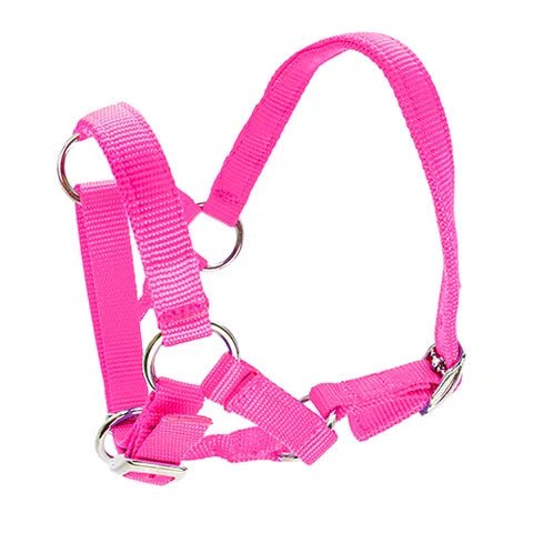 Alpaca Halter - Woonona Petfood & Produce