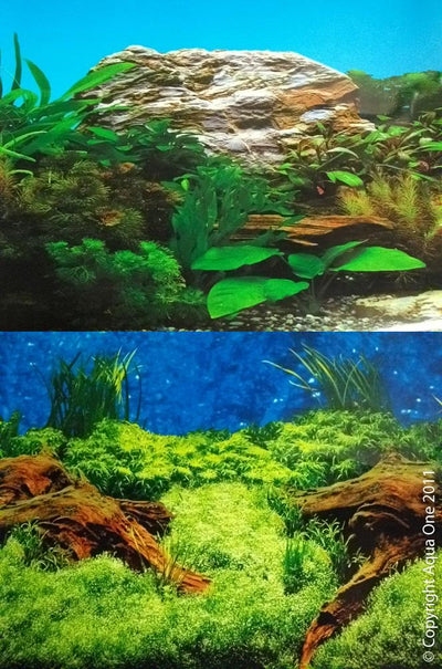 Aqua One Background 19'' (48cm) Aquarium Dbl Sided 1m - Woonona Petfood & Produce