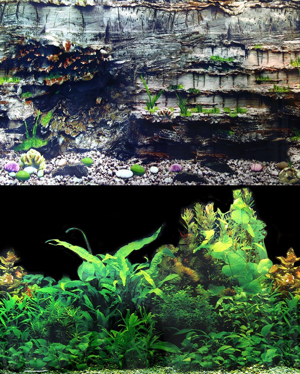 Black Aquarium Backgrounds for sale