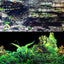 Aqua One Background 49x90cm Black Plant Layer Rock 5 - Woonona Petfood & Produce