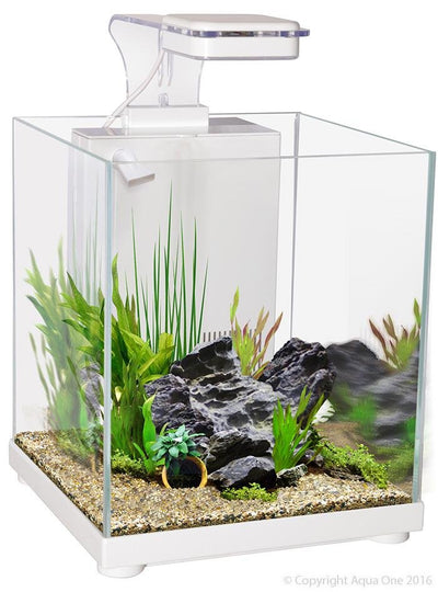 Aqua One Betta Sanctuary Glass Aquarium 10 Litre