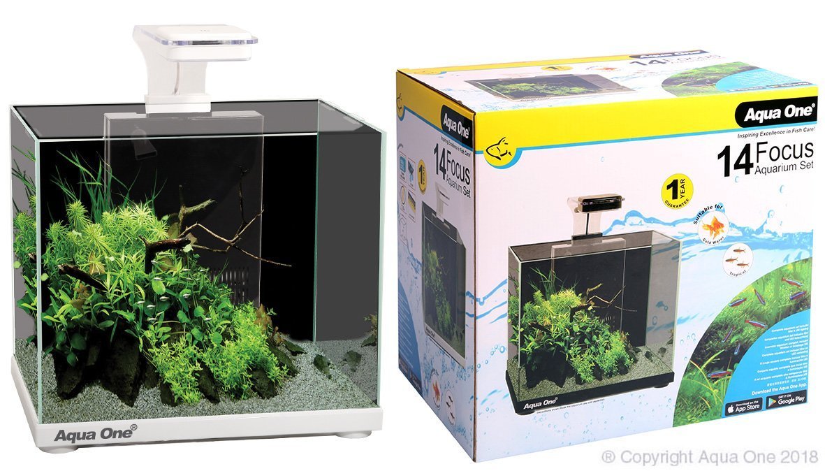 Aqua One Focus 14 Litre Glass Aquarium - Woonona Petfood & Produce