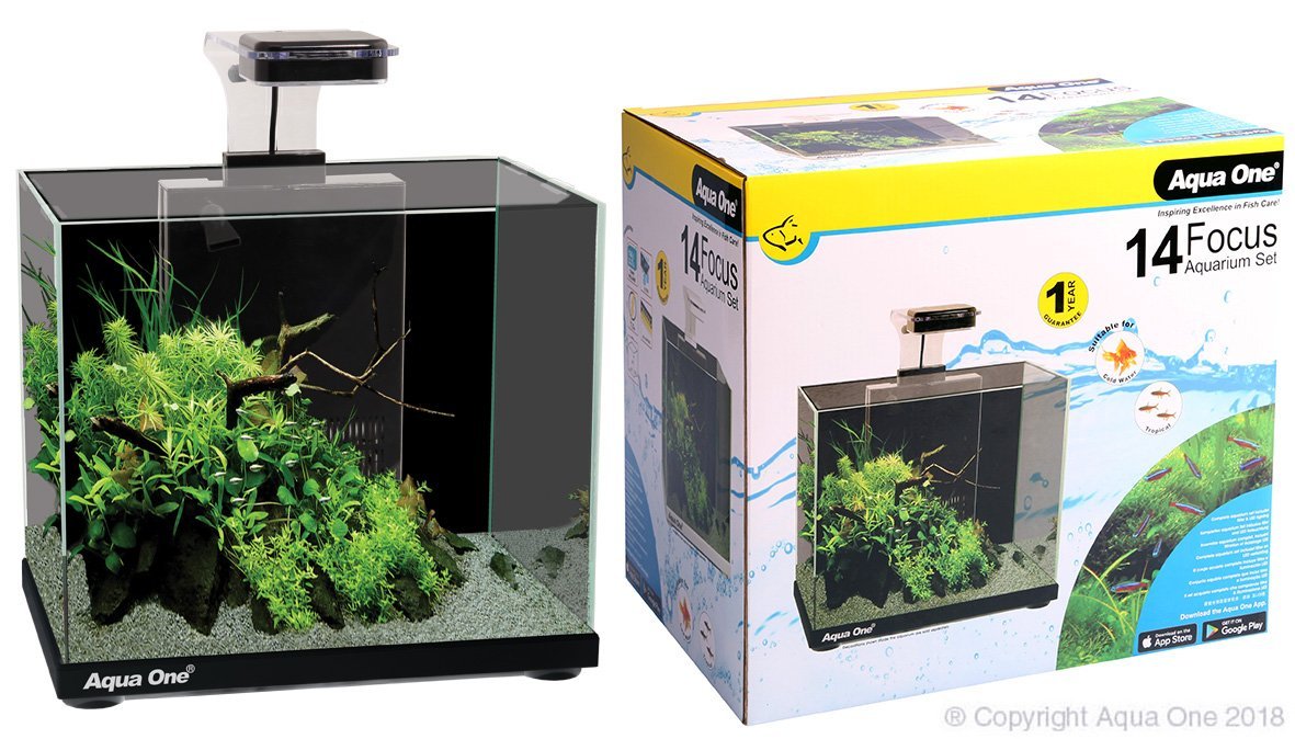 Aqua One Focus 14 Litre Glass Aquarium Black - Woonona Petfood & Produce