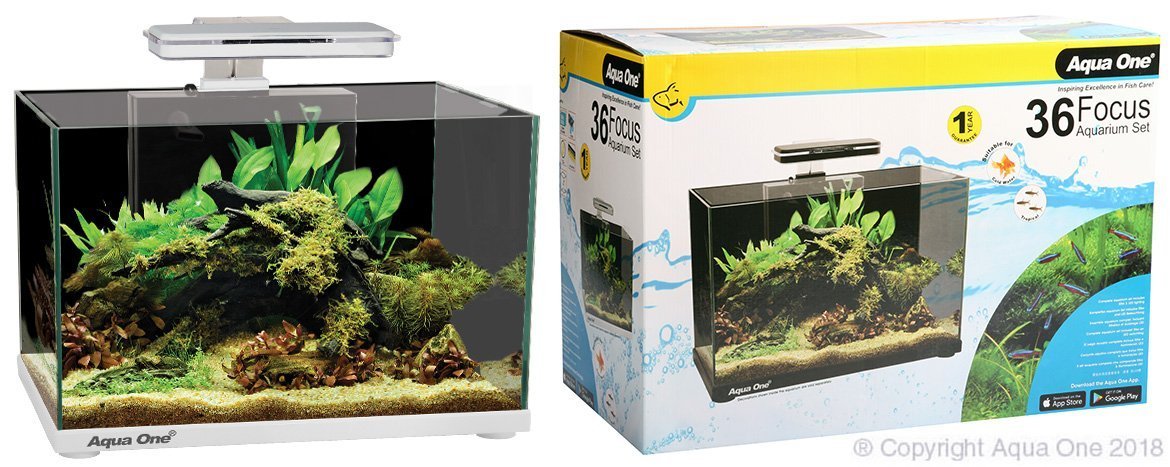 Aqua One Focus 36 Litre Glass Aquarium - Woonona Petfood & Produce