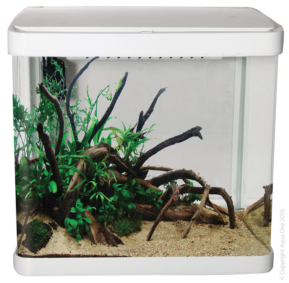 Aqua One Lifestyle 21 Complete Aquarium 21 Litre - Woonona Petfood & Produce